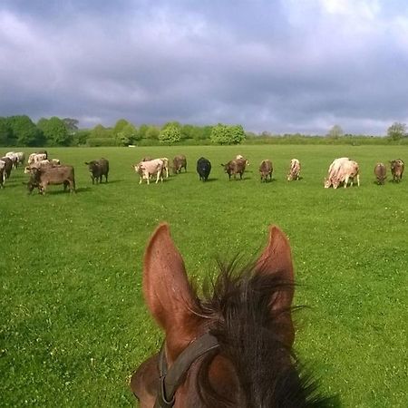 Battens Farm Cottages B&B Yatton Keynell Exteriör bild