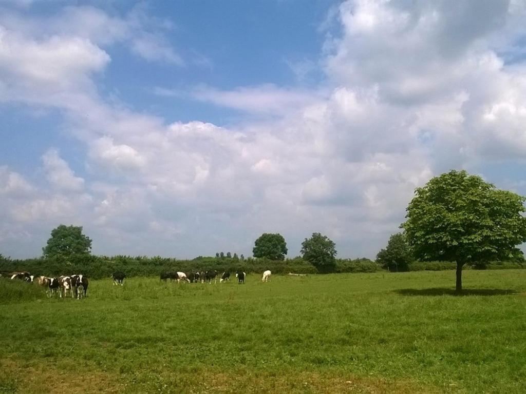 Battens Farm Cottages B&B Yatton Keynell Exteriör bild