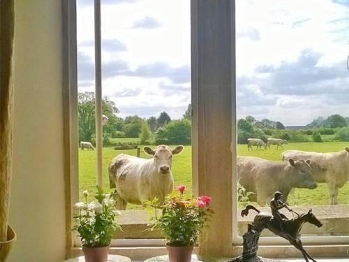 Battens Farm Cottages B&B Yatton Keynell Exteriör bild